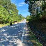 Thanh ở Tuyên Hóa, Quảng Bình - Vui vẻ