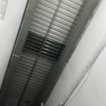 Ngọc ánh ở Thủ Đức, TP Hồ Chí Minh - Xalo:0796692193