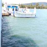 Trần Hoàng ở Phú Quốc, Kiên Giang - Vui vẻ hoà đồng