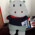 Sino ở Sóc Trăng, Sóc Trăng - Thích mập