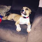 nguyen van ở Củ Chi, TP Hồ Chí Minh - người bình thường tìm tình yêu