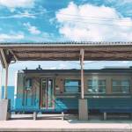 quắn ở Bắc Trà My, Quảng Nam - ko