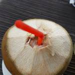 Vũ ở Bình Tân, TP Hồ Chí Minh - Thân thiện , vui vẻ và biết ng