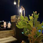 Tuan Anh ở Biên Hoà, Đồng Nai - Tim fwb ons . Nhu cau cao . Mi