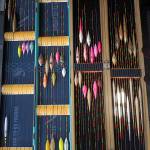 Minh trung ở Gò Công Tây, Tiền Giang - Vui ve hoa dog