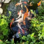 Nguyễn chí thức - tim ban trai da ly hon qua so dien thoai