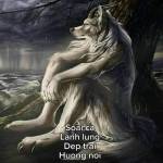 Nguyen Van ở An Dương, Hải Phòng - Độc thân vui tính