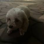 Hoàng ở Sông Công, Thái Nguyên - Độc thân vui vẻ