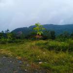 T ở Thủ Đức, TP Hồ Chí Minh - 