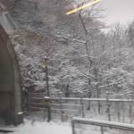 minh ở Bình Tân, TP Hồ Chí Minh - vui vẻ, thích giao lưu, đi phư