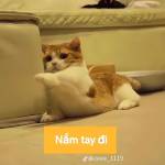 Tuấn ở Cái Răng, Cần Thơ - Tìm fwb ons để thoản mãn ko rà