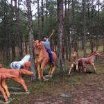 duytan ở Hóc Môn, TP Hồ Chí Minh - mập đen xâu