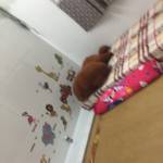 Bảo Huy ở Huế, Thừa Thiên Huế - Thân thiệt hoà đồng vui vẻ