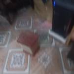 Phạm Đức T ở Thái Bình, Thái Bình - Kiếm fwb tại Thái Bình