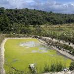 gia huy ở Biên Hoà, Đồng Nai - vui vẻ hiền dễ tính