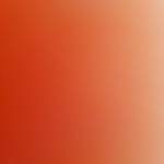 Minh hoang ở Đức Trọng, Lâm Đồng - Vui ve khoe manh