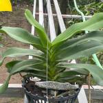 Sơn ở Thanh Sơn, Phú Thọ - Tìm bạn gái