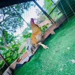 Nhi - tim ban trai da ly hon qua so dien thoai