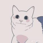 An ở Hải Châu, Đà Nẵng - FWB