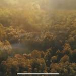 Tí ở Quận 8, TP Hồ Chí Minh - Vui vẻ hòa  đồng