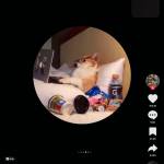 tim ban gay top bot Đăng