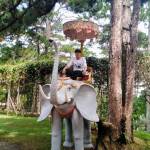 Thanh còi - tim ban trai da ly hon qua so dien thoai