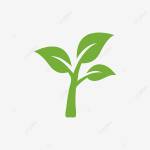 trum ở Ninh Kiều, Cần Thơ - hmmmm