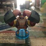 Cam chua ở Rạch Giá, Kiên Giang - Zalo 0853101556