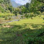 Hcchlg - tim ban trai da ly hon qua so dien thoai