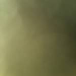 abcdefrt - tim ban trai da ly hon qua so dien thoai