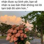 Thanh ở Đà Lạt, Lâm Đồng - Sâu sắc, hướng thiện