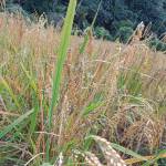 tâm sự với người lạ tên lành