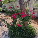 Anh ở Pleiku, Gia Lai - Tìm bạn gái ts