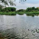 Đức Anh ở Quận 12, TP Hồ Chí Minh - Vui vẽ