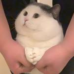 Khanh ở Bến Lức, Long An - vui