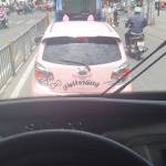 Binh ở Gò Vấp, TP Hồ Chí Minh - Vui ve hoa dong it noi