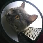 Phúc ở Liên Chiểu, Đà Nẵng - Tìm fwb