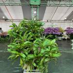 Nguyễn anh ở Hà Đông, Hà Nội - Ưa nhìn manly thích mua sắm th