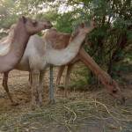 Traimoilon ở Ba Đình, Hà Nội - Sống nội tâm muốn tìm một ngườ