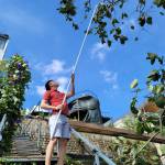 Đức ở Vũng Tàu, Bà Rịa - Vũng Tàu - Vui vẻ