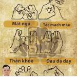 Phong ở Hữu Lũng, Lạng Sơn - Muốn có bạn