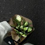 harrynguye ở Bến Cầu, Tây Ninh - dâm