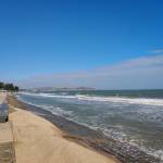 Anh ở Gò Vấp, TP Hồ Chí Minh - Mình ở Sg