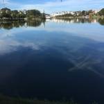 Minh ở Quận 10, TP Hồ Chí Minh - U60 khỏe mạnh và dễ nhìn.