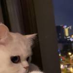 Kiệt ở Cái Răng, Cần Thơ - nào thân rồi biết nhá.