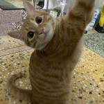 Huy Nam ở Cái Răng, Cần Thơ - Tìm fwb không ràng buộc kín đá