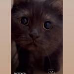 dqa ở Móng Cái, Quảng Ninh - ko co gi