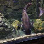 Lê toàn ở Thanh Hóa, Thanh Hóa - Hiền lành, vui tính..