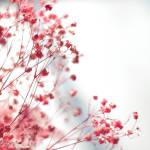 Tuân ở Quận 5, TP Hồ Chí Minh - OK