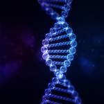 vô danh ở Bình Tân, TP Hồ Chí Minh - 